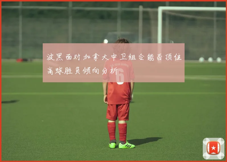波黑面对加拿大中卫组合能否顶住高球胜负倾向分析
