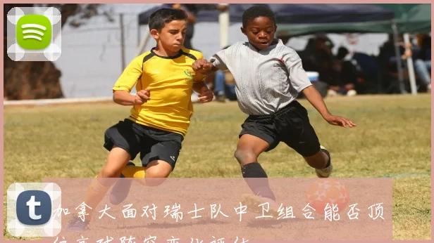 加拿大面对瑞士队中卫组合能否顶住高球阵容变化评估