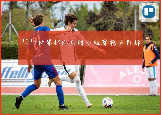 2026世界杯比利时小组赛抢分目标