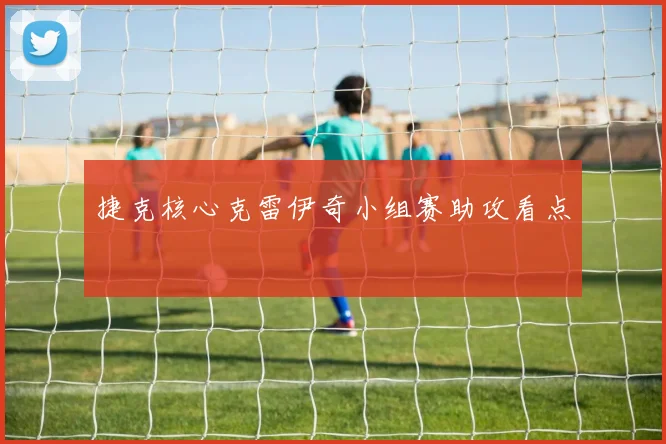 捷克核心克雷伊奇小组赛助攻看点
