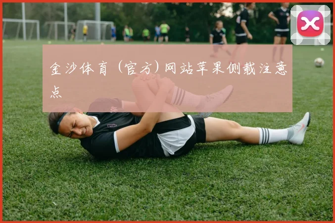 金沙体育 (官方)网站苹果侧载注意点