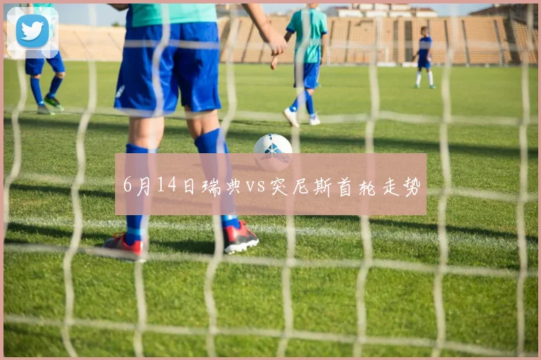 6月14日瑞典vs突尼斯首轮走势