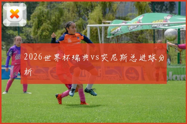 2026世界杯瑞典vs突尼斯总进球分析