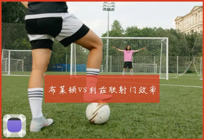 布莱顿vs利兹联射门效率