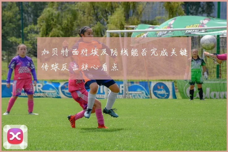 加贝特面对埃及防线能否完成关键传球反击核心看点